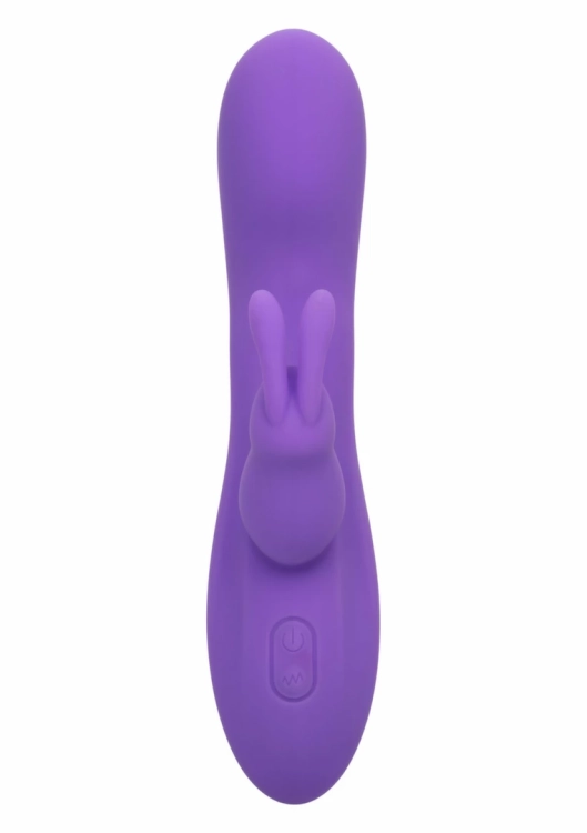 sc_27726-purple_0000056190_937d45d8e4b61ed73e2ec778a76d3a93_27726_purple_03.webp